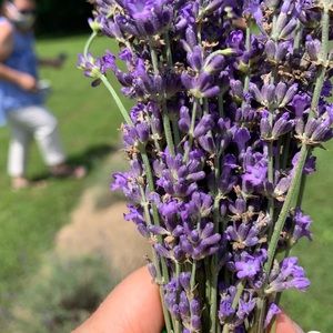 Meet your Posher, Cheryl